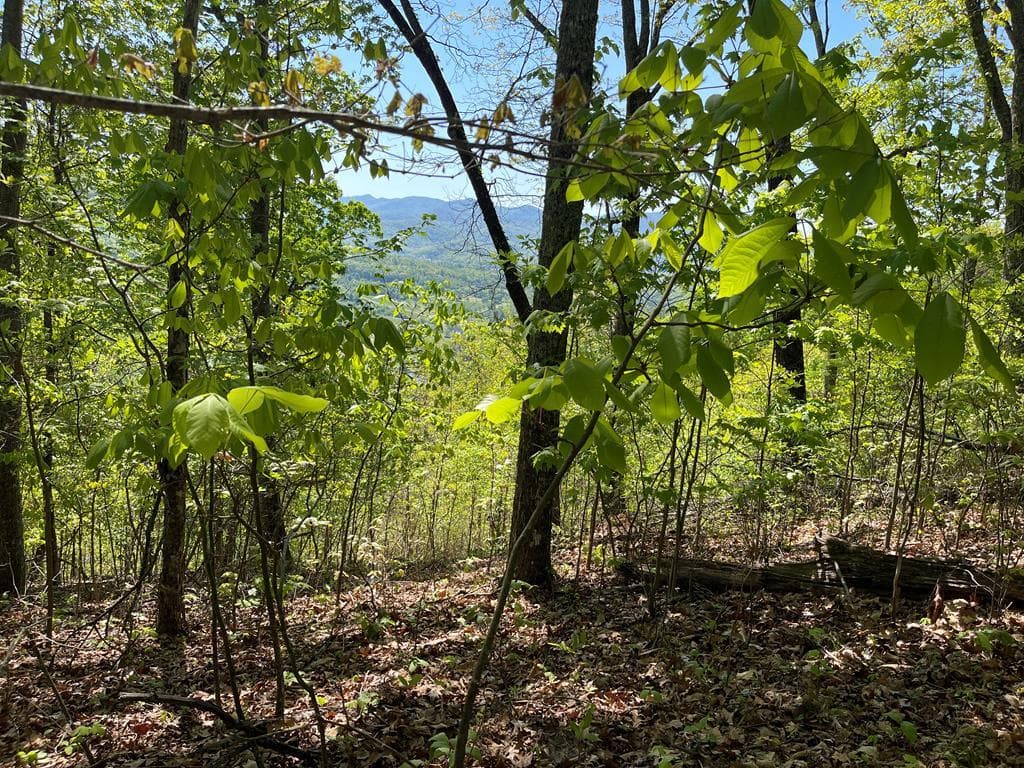 Lot 11J Ash Branch View, Hayesville NC 28904 - Photo