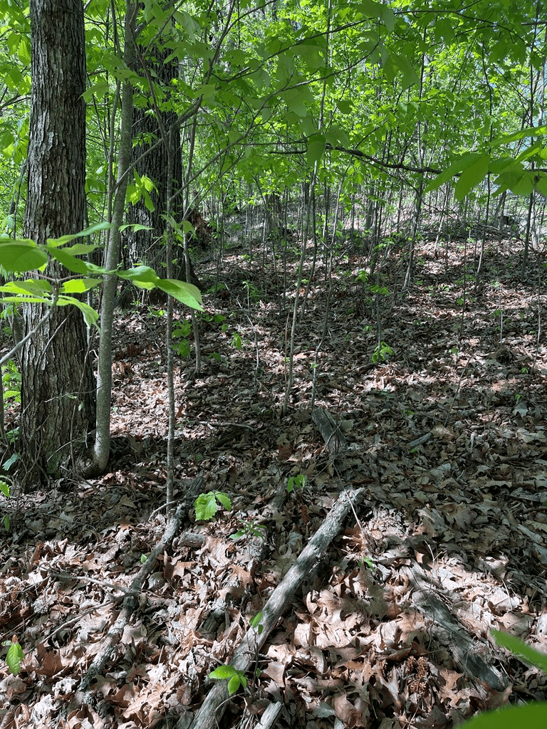 Lot 11J Ash Branch View, Hayesville NC 28904 - Photo