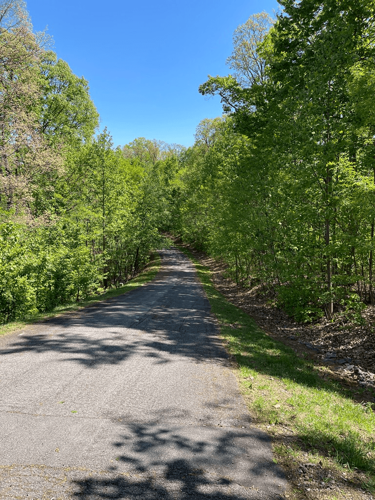 Lot 11J Ash Branch View, Hayesville NC 28904 - Photo