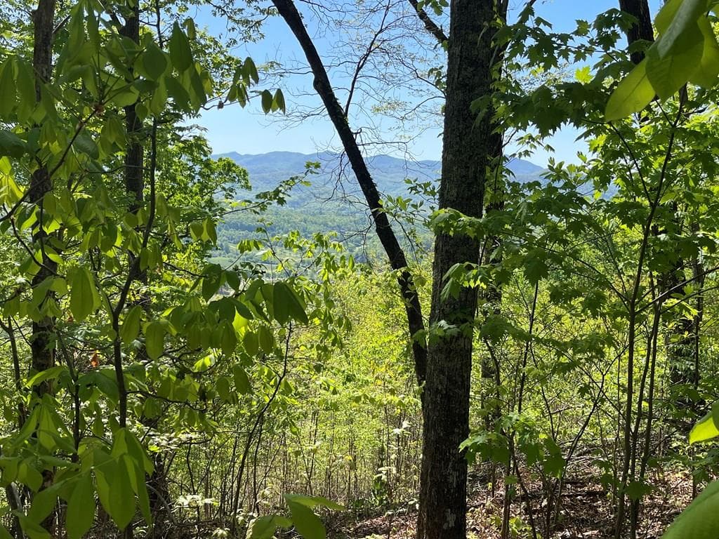 Lot 11J Ash Branch View, Hayesville NC 28904 - Primary photo