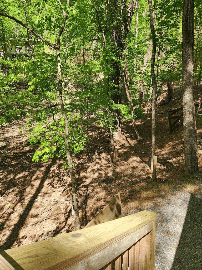 257 20th Street, Ellijay GA 30540 - Photo