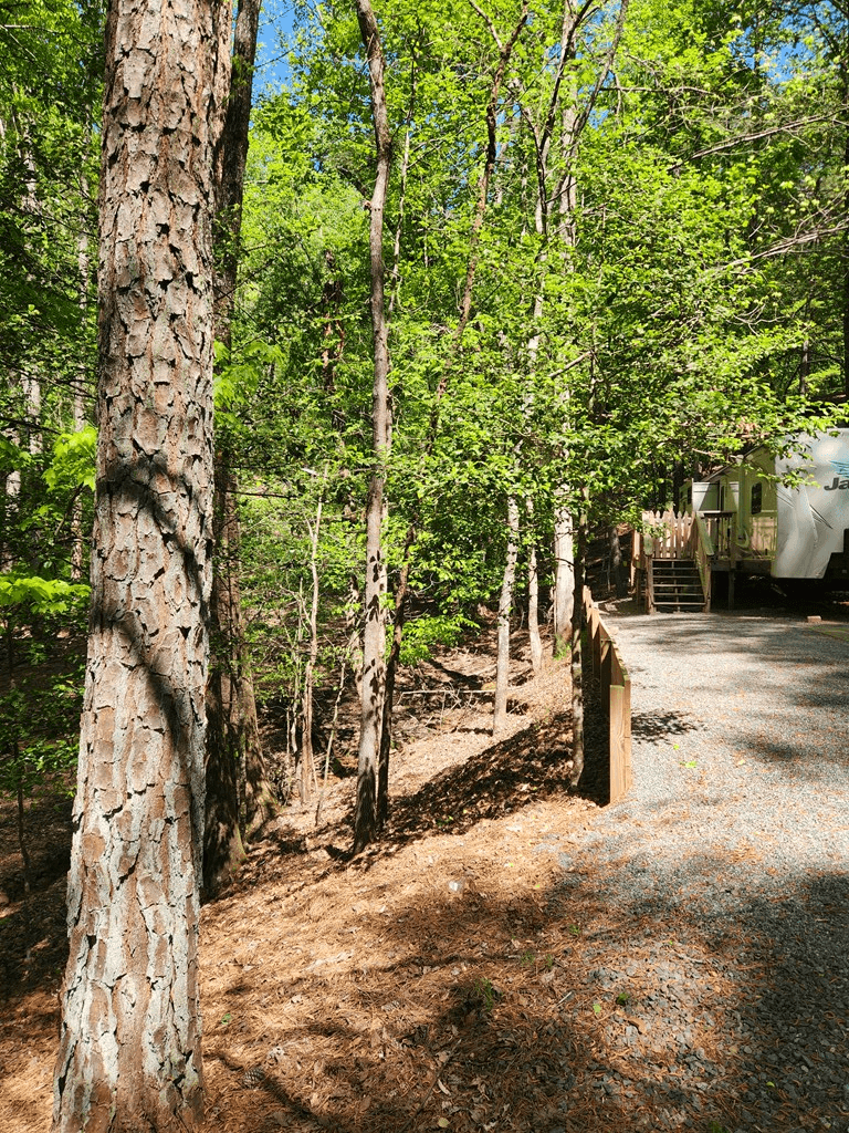 257 20th Street, Ellijay GA 30540 - Photo