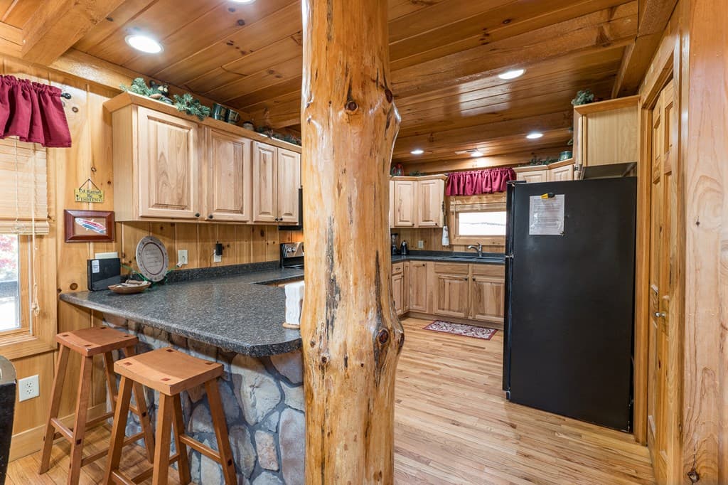 165 Riverview Drive, Robbinsville NC 28771 - Photo