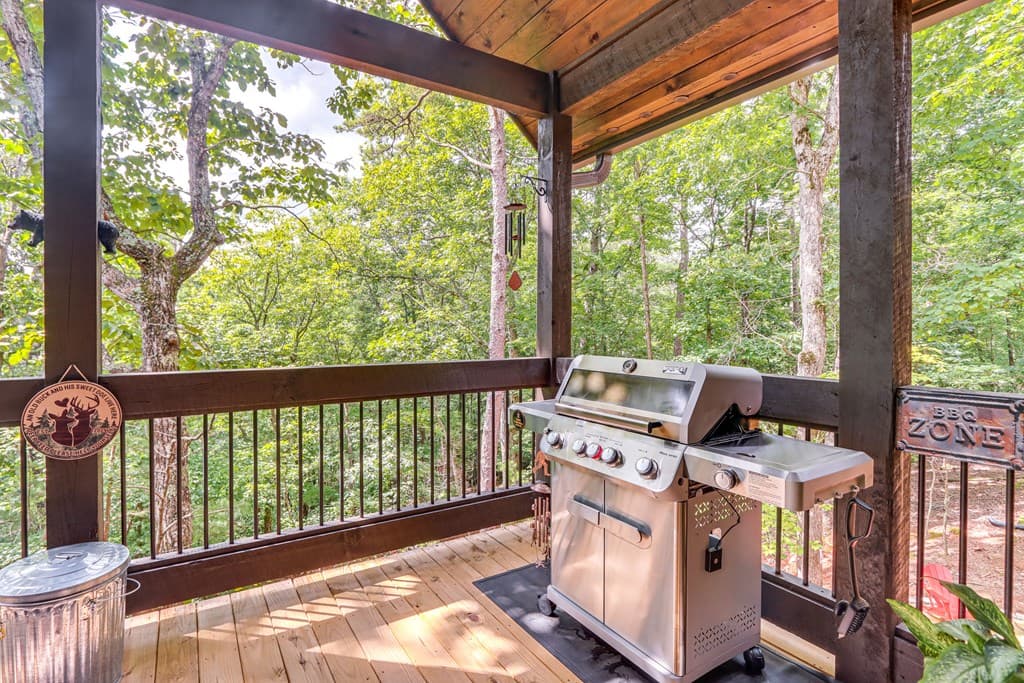 313 Muffle Court, Ellijay GA 30540 - Photo