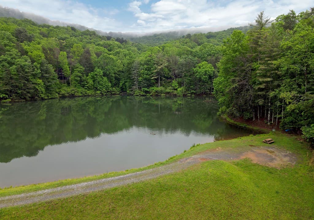 66 Pine Ridge Court, Ellijay GA 30536 - Photo