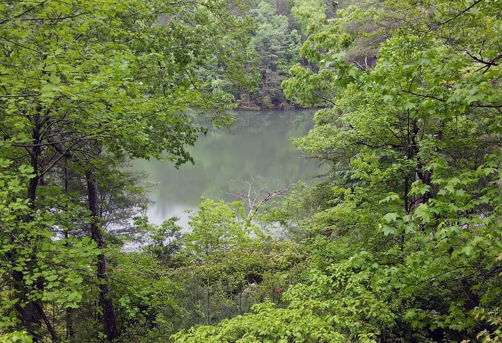 66 Pine Ridge Court, Ellijay GA 30536 - Photo