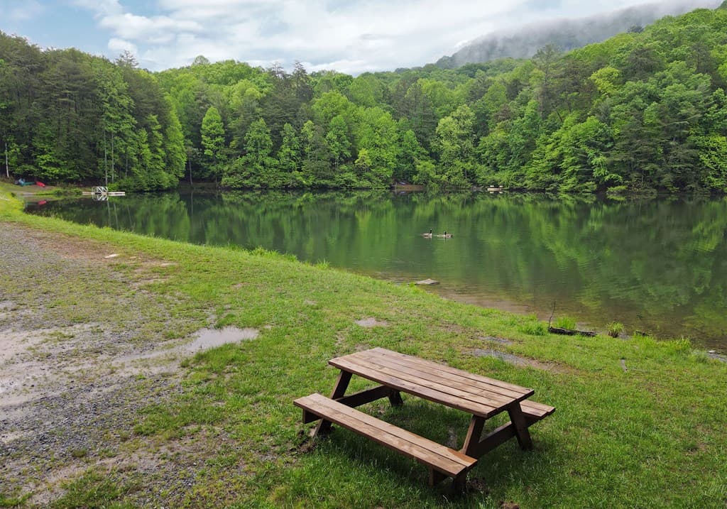 66 Pine Ridge Court, Ellijay GA 30536 - Photo