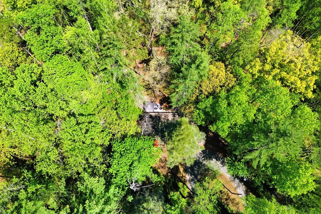 10758 Chatsworth Hwy, Ellijay GA 30540 - Photo