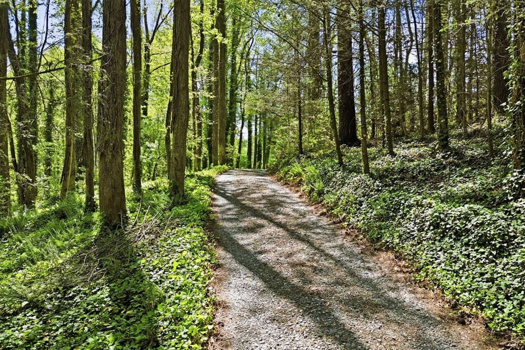10758 Chatsworth Hwy, Ellijay GA 30540 - Photo