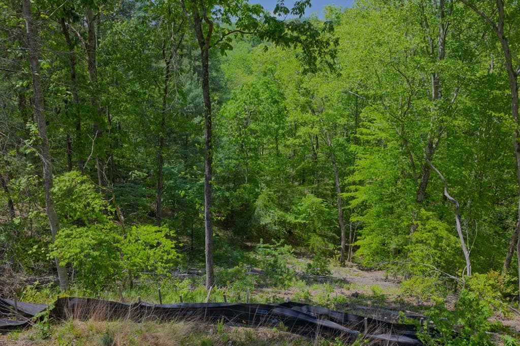 Lot 343 Shallow Branch Drive, Talking Rock GA 30175 - Photo