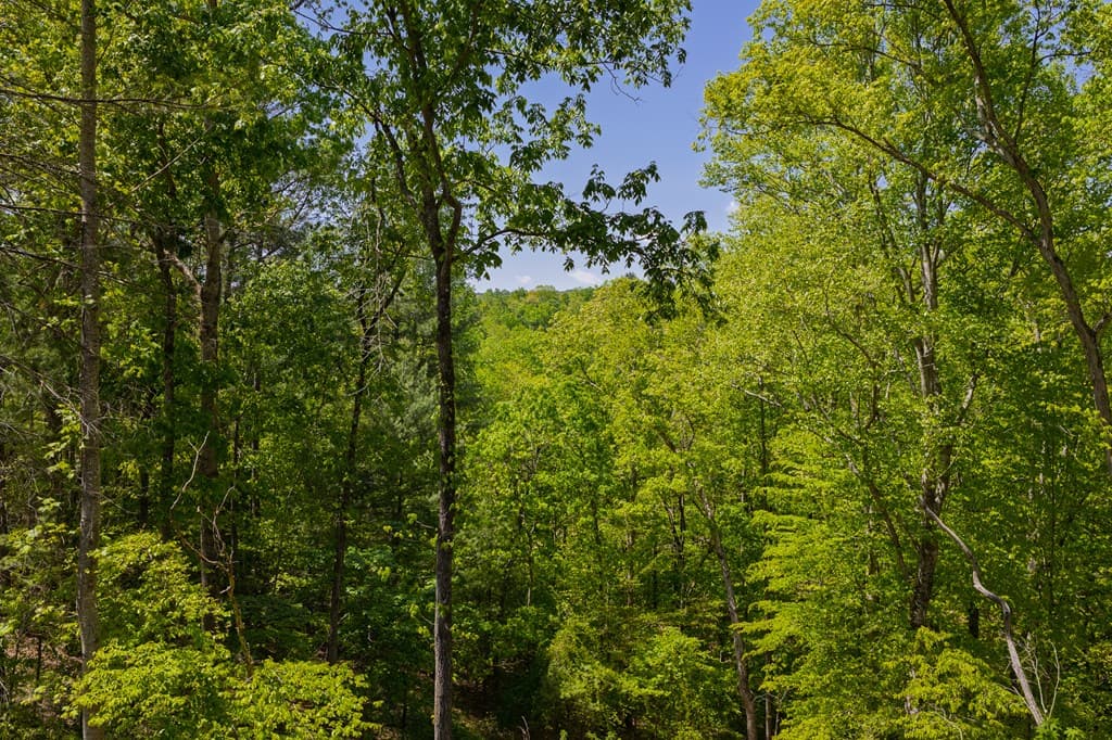 Lot 343 Shallow Branch Drive, Talking Rock GA 30175 - Photo