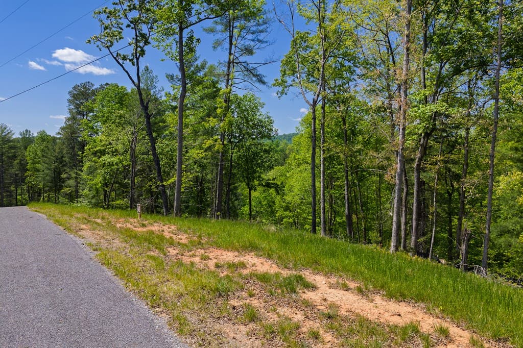Lot 343 Shallow Branch Drive, Talking Rock GA 30175 - Photo