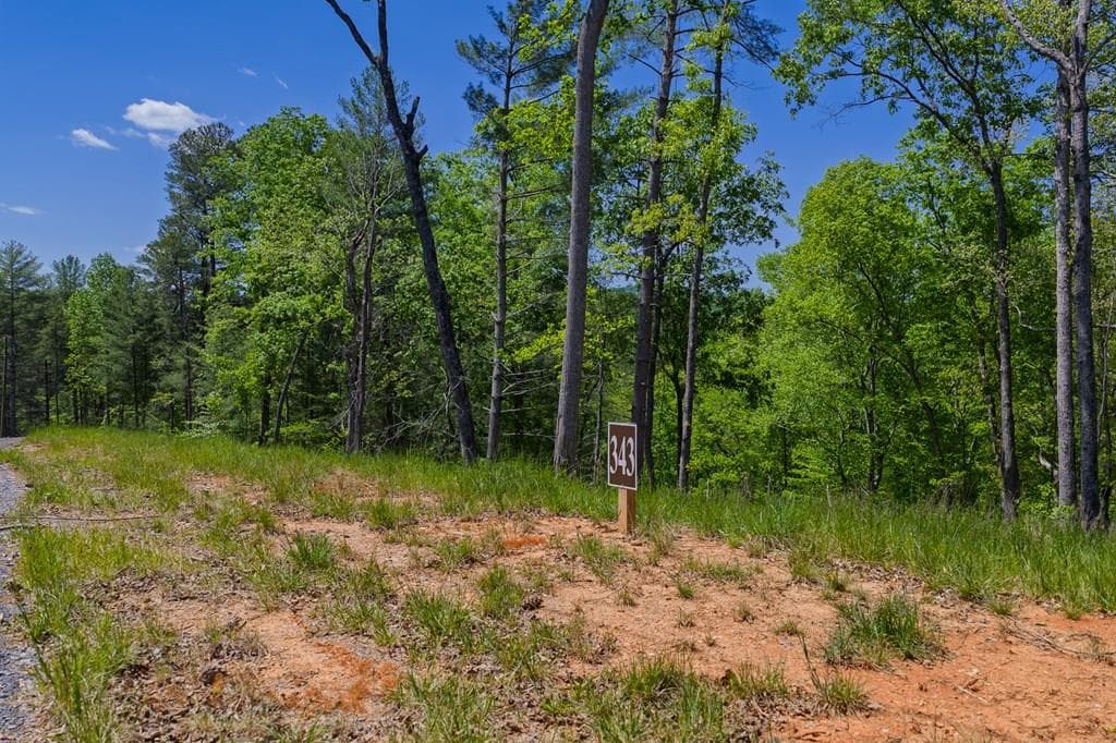Lot 343 Shallow Branch Drive, Talking Rock GA 30175 - Primary photo