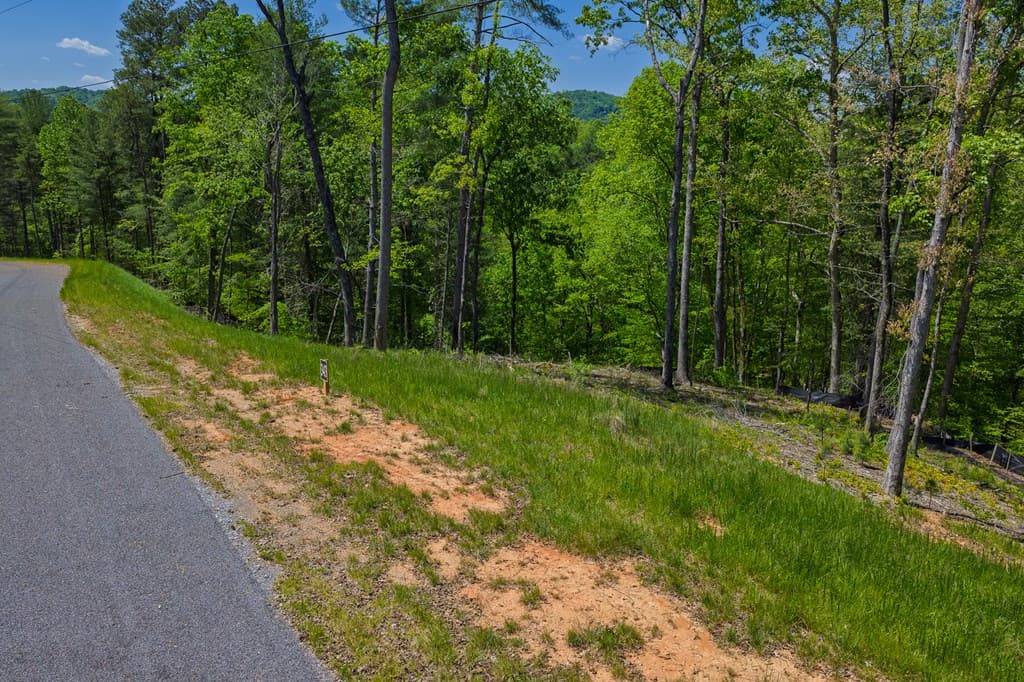 Lot 343 Shallow Branch Drive, Talking Rock GA 30175 - Photo