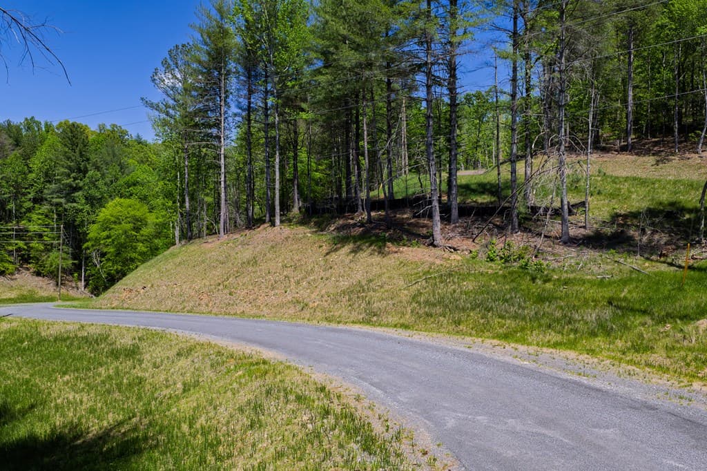 Lot 343 Shallow Branch Drive, Talking Rock GA 30175 - Photo