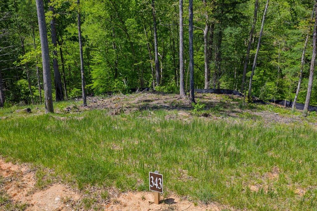 Lot 343 Shallow Branch Drive, Talking Rock GA 30175 - Photo