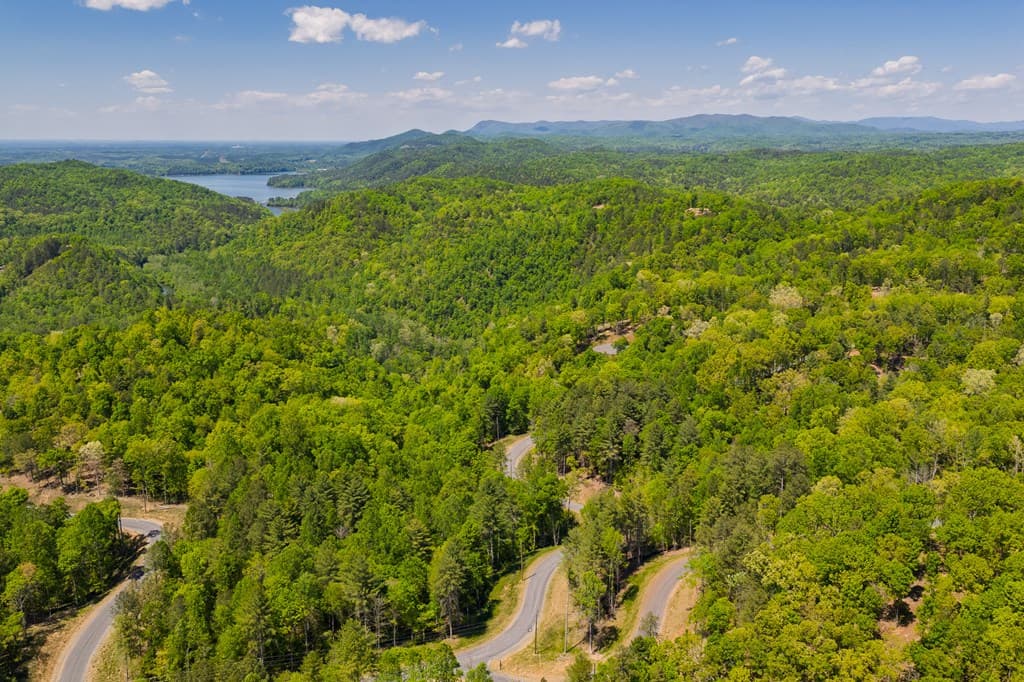 Lot 343 Shallow Branch Drive, Talking Rock GA 30175 - Photo
