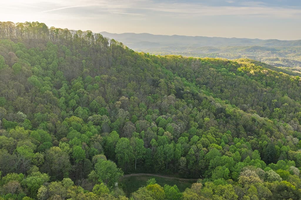 0 Hagin Lane, Ellijay GA 30536 - Photo