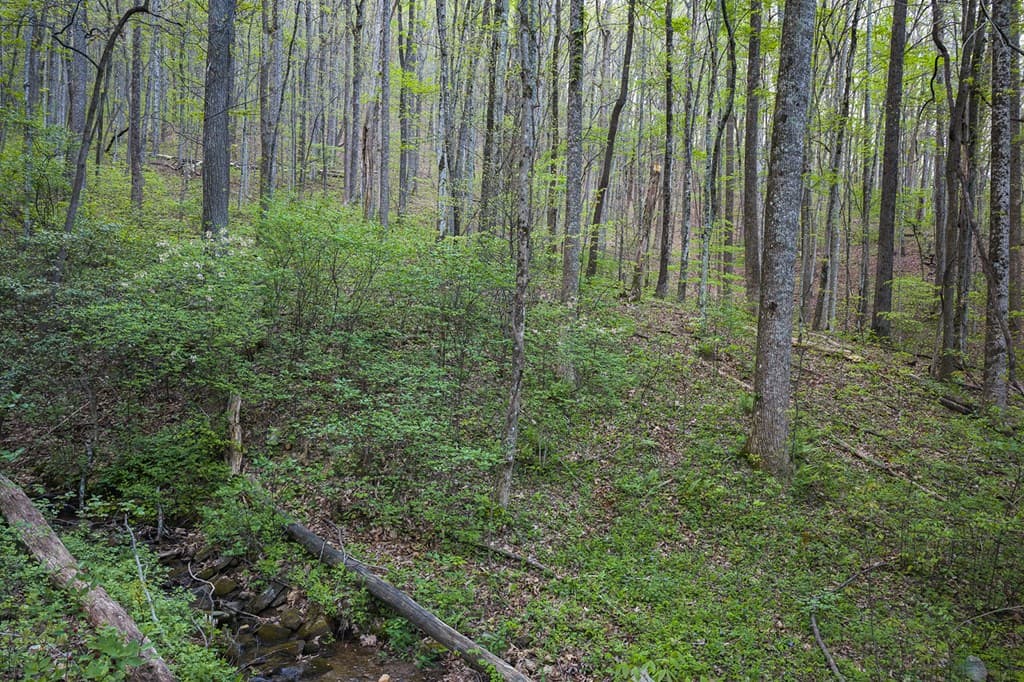 0 Hagin Lane, Ellijay GA 30536 - Photo