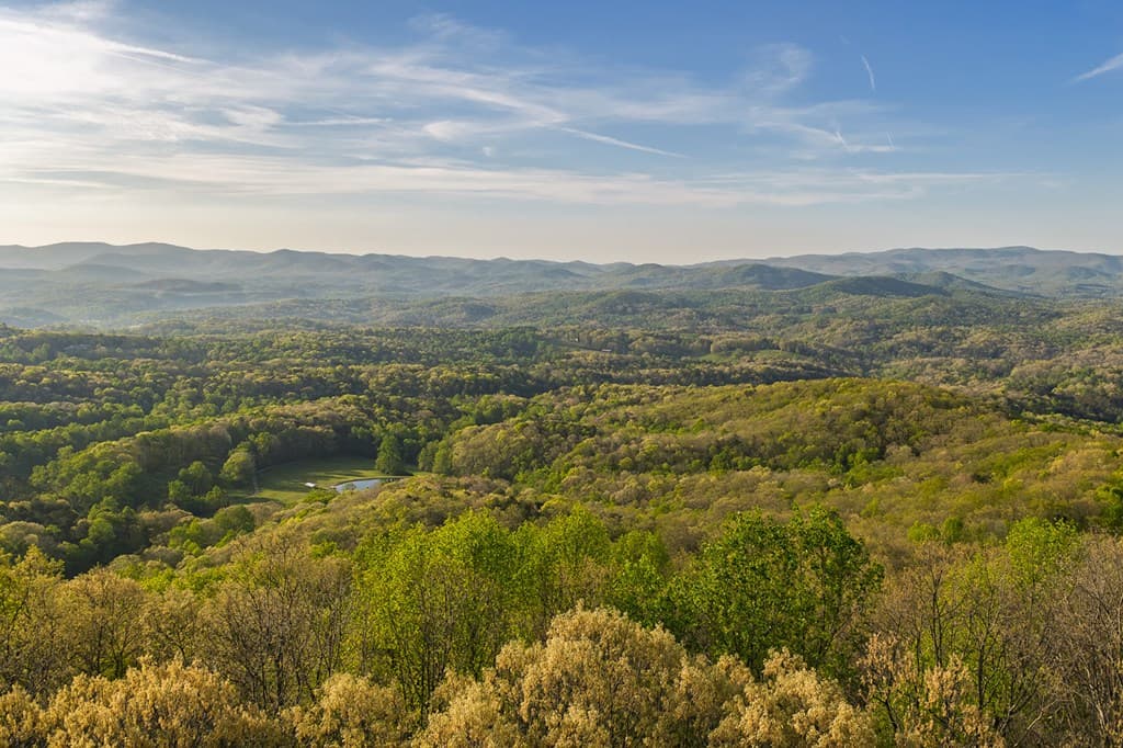 0 Hagin Lane, Ellijay GA 30536 - Photo