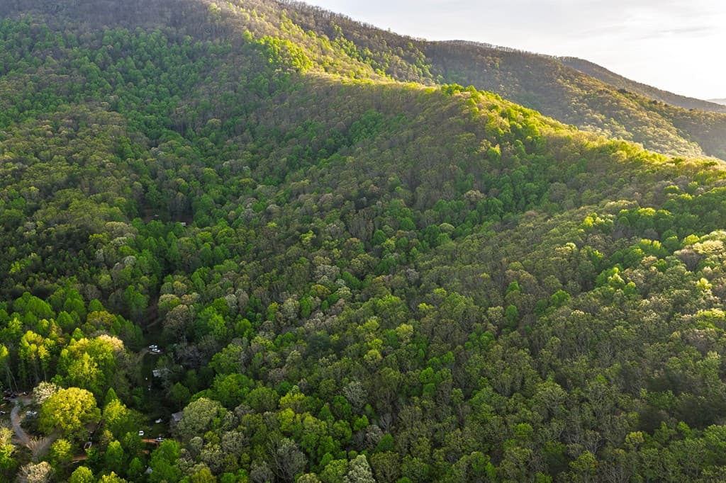 0 Hagin Lane, Ellijay GA 30536 - Photo