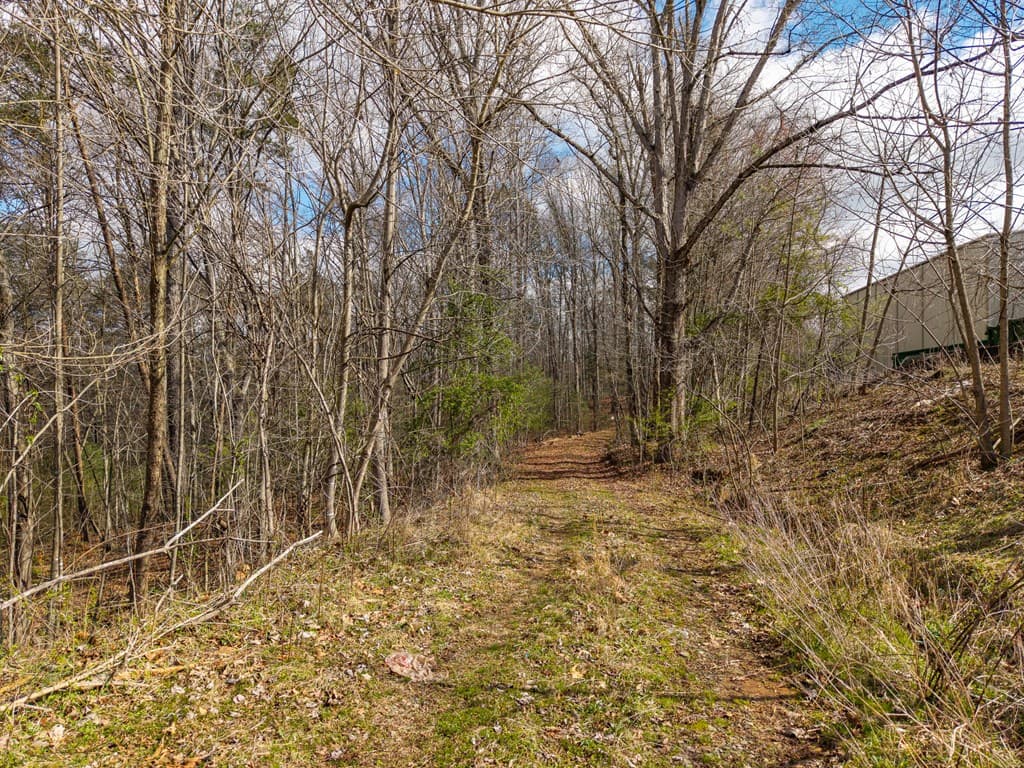 10085 Lakewood Hwy, Mineral Bluff GA 30559 - Photo