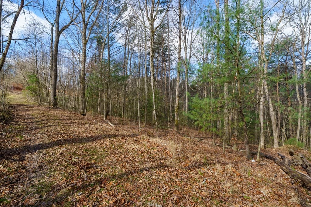 10085 Lakewood Hwy, Mineral Bluff GA 30559 - Photo