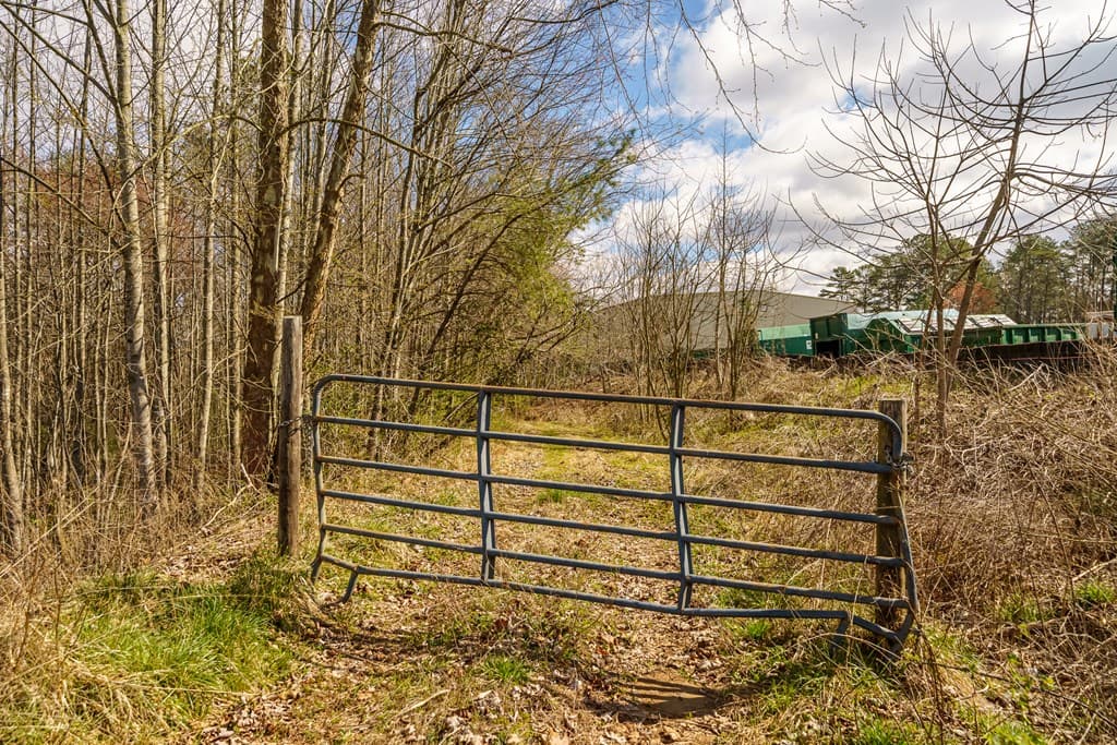 10085 Lakewood Hwy, Mineral Bluff GA 30559 - Photo