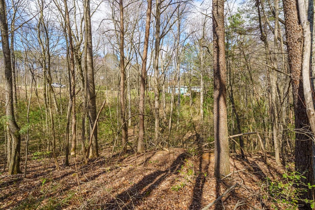 10085 Lakewood Hwy, Mineral Bluff GA 30559 - Photo