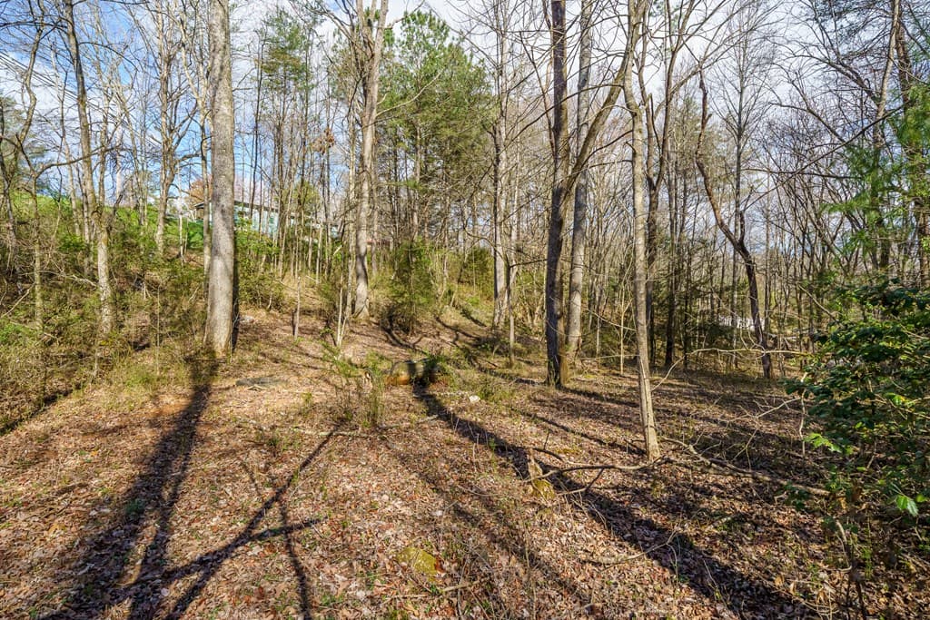 10085 Lakewood Hwy, Mineral Bluff GA 30559 - Photo