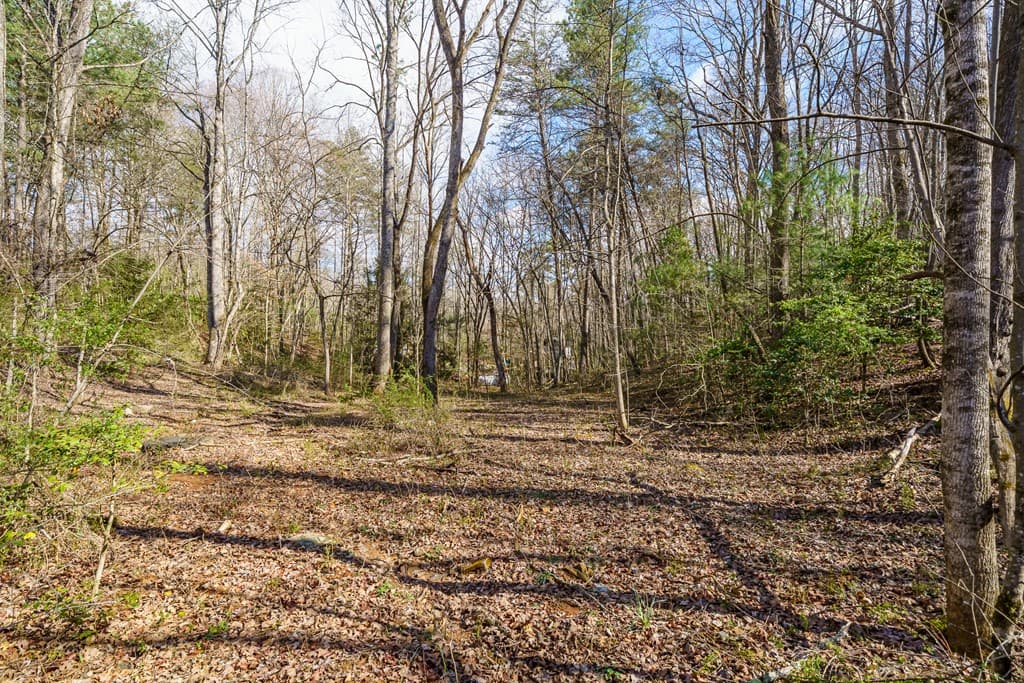 10085 Lakewood Hwy, Mineral Bluff GA 30559 - Photo