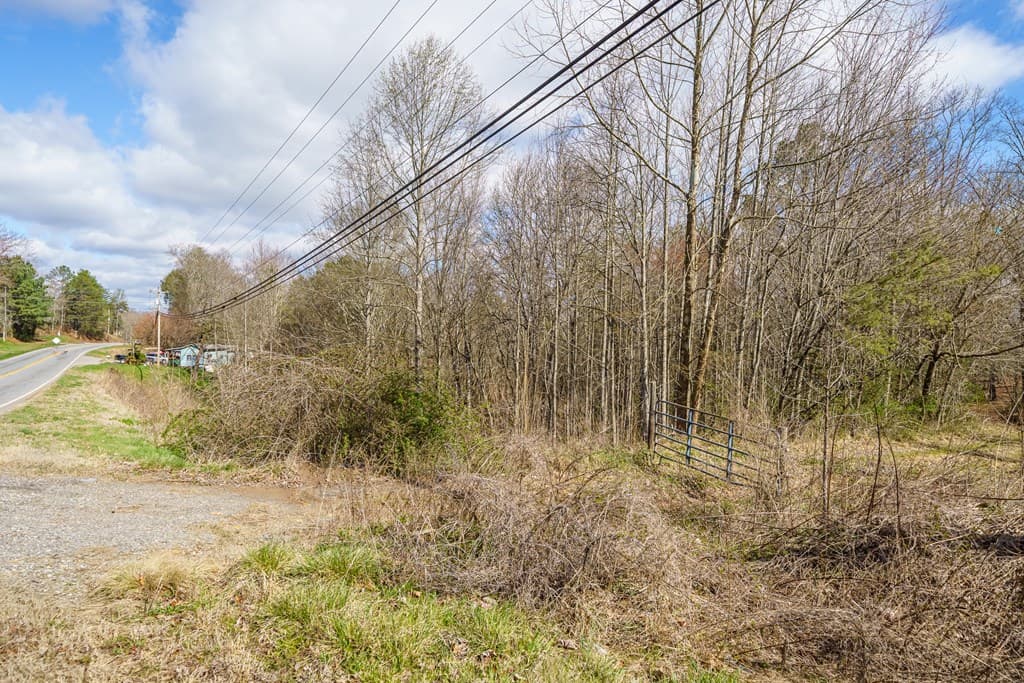 10085 Lakewood Hwy, Mineral Bluff GA 30559 - Photo