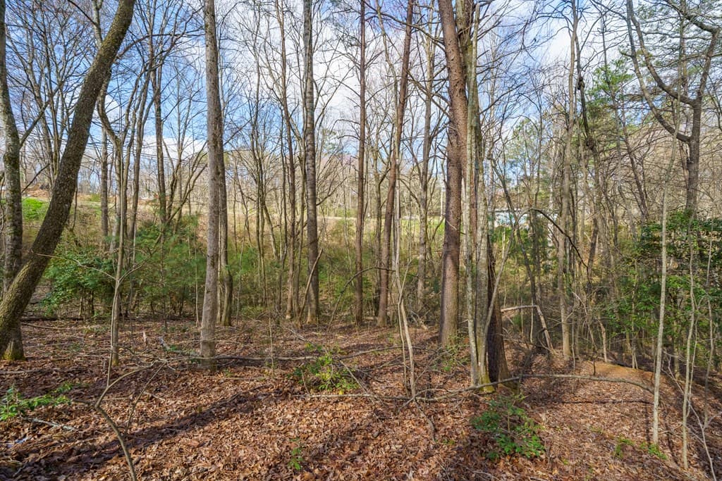 10085 Lakewood Hwy, Mineral Bluff GA 30559 - Photo