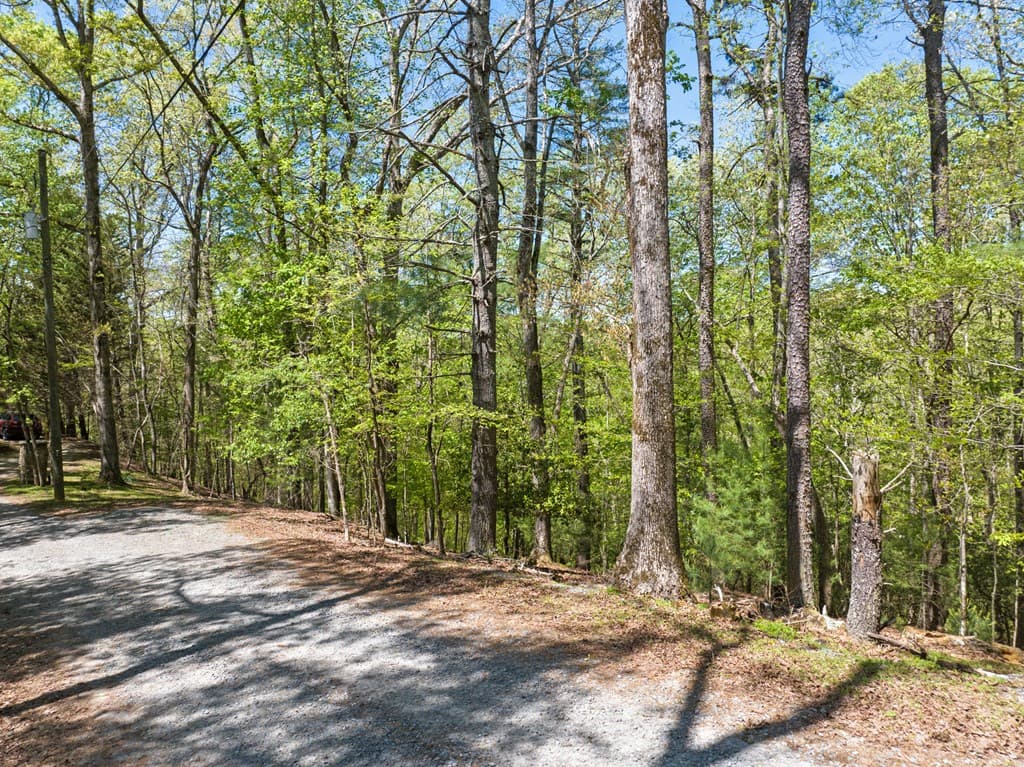 Lot 560 Chattle Way, Ellijay GA 30540 - Photo