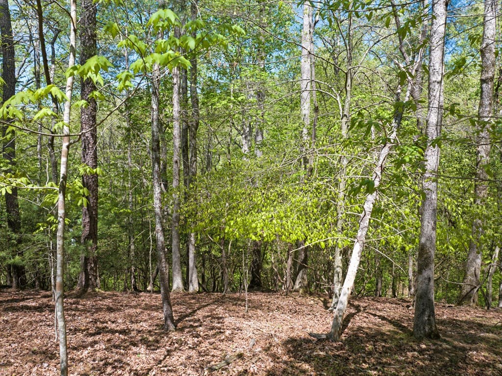 Lot 560 Chattle Way, Ellijay GA 30540 - Photo