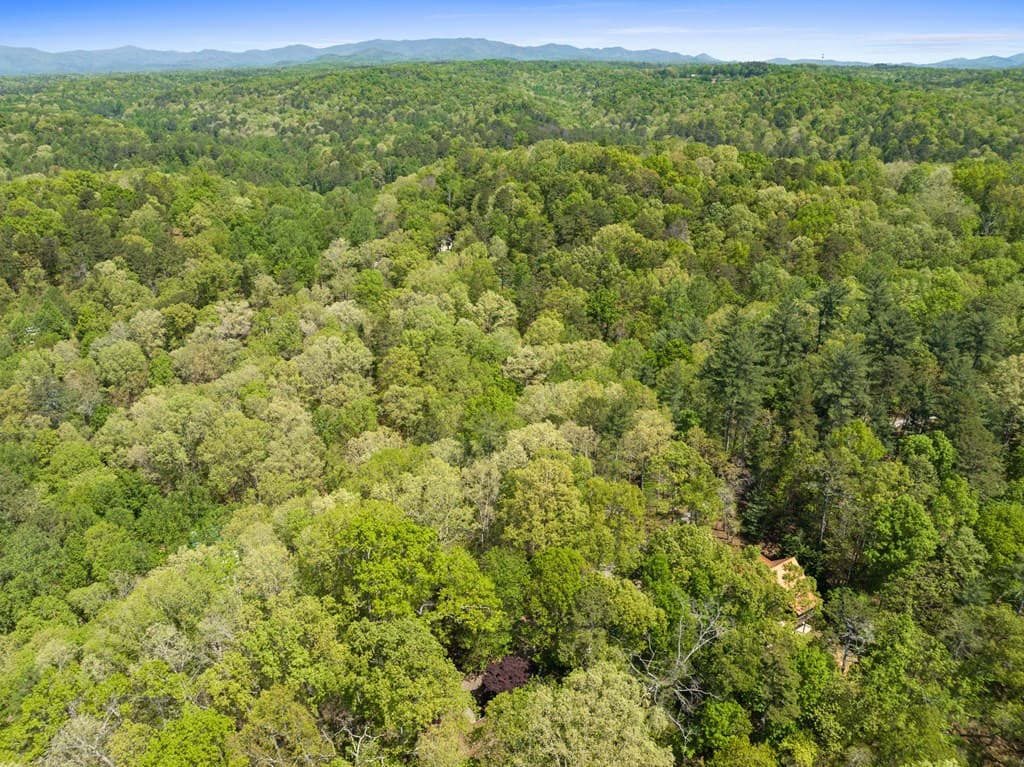 Lot 560 Chattle Way, Ellijay GA 30540 - Photo