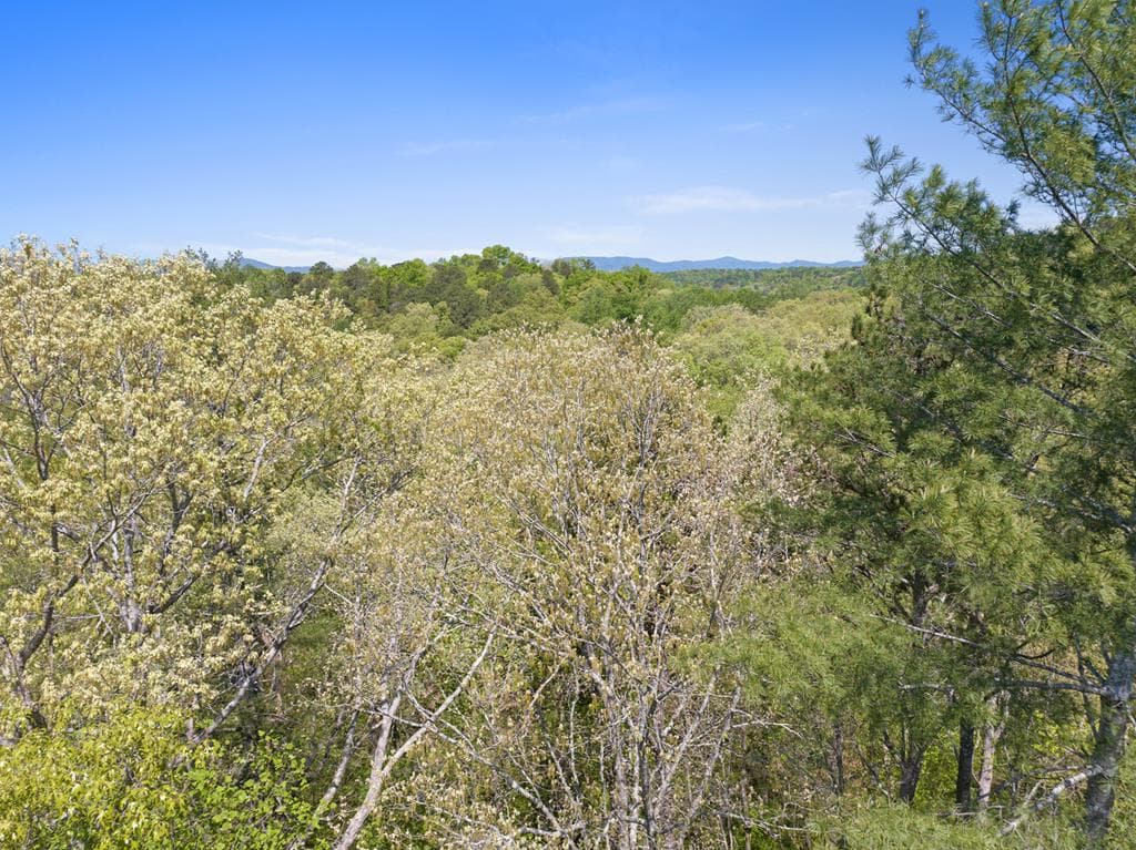 Lot 560 Chattle Way, Ellijay GA 30540 - Primary photo