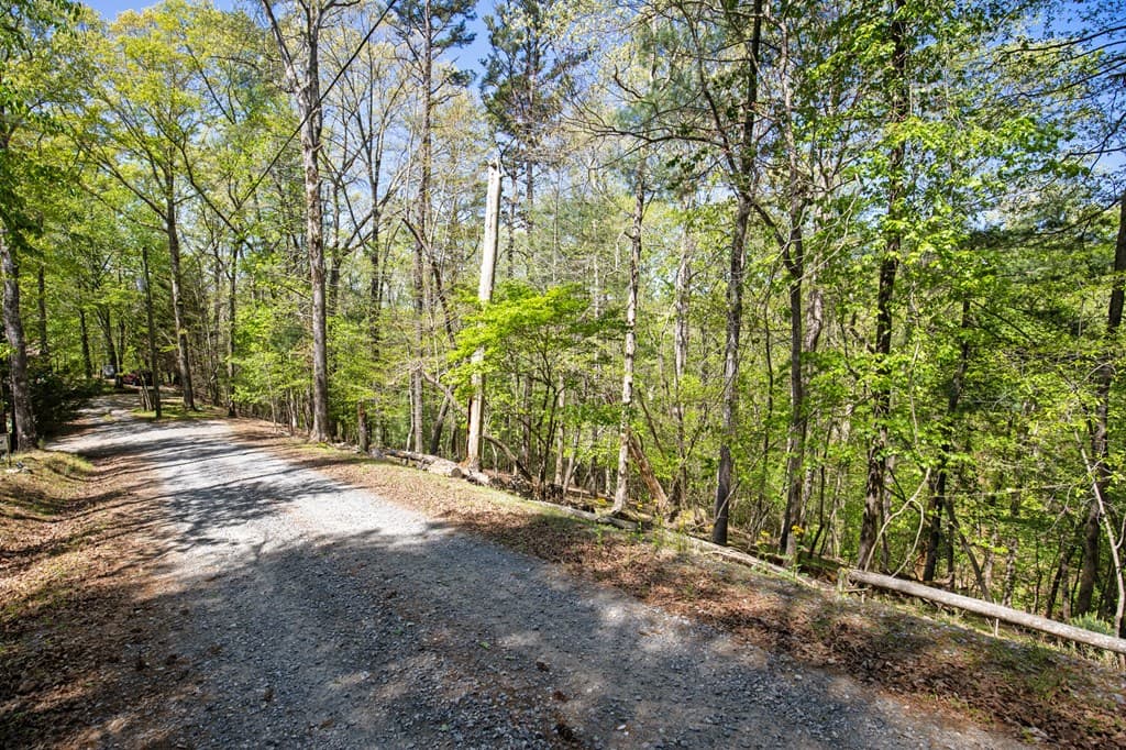 Lot 560 Chattle Way, Ellijay GA 30540 - Photo