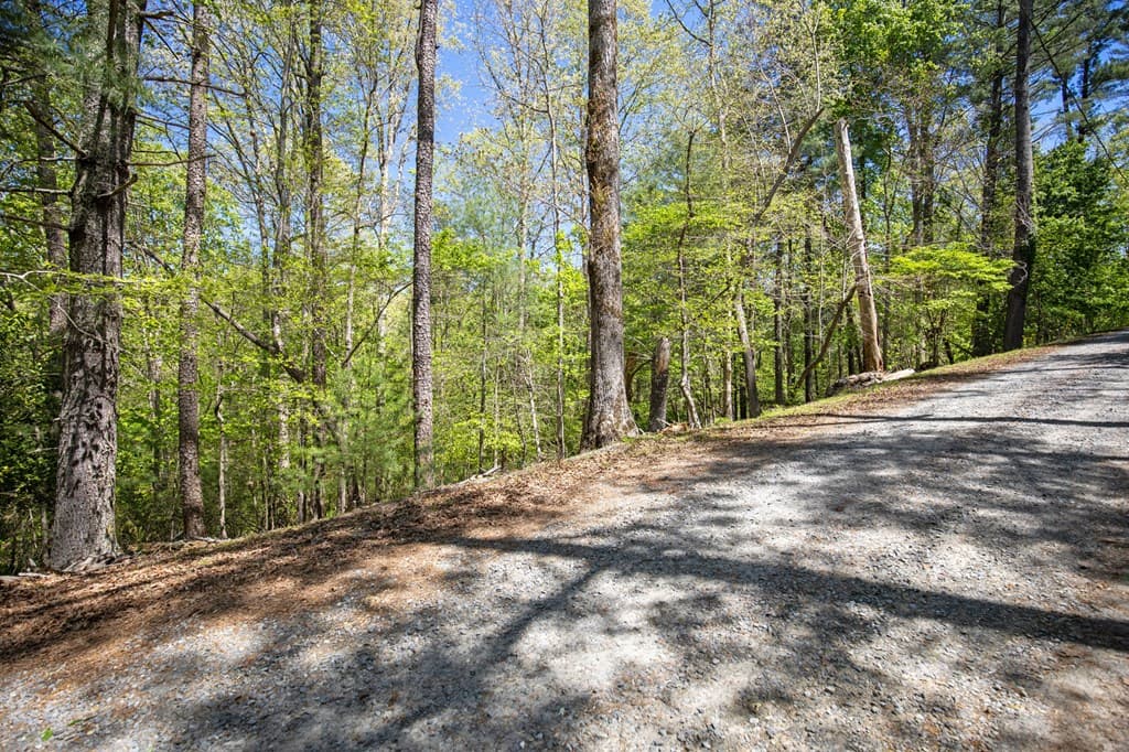 Lot 560 Chattle Way, Ellijay GA 30540 - Photo