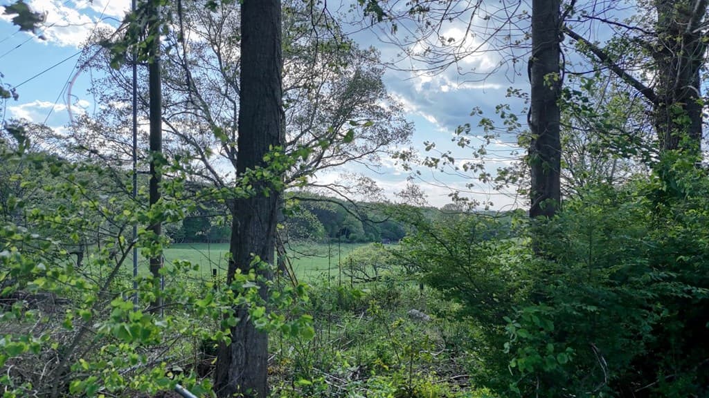1013 Bradley Road, Blairsville GA 30512 - Photo