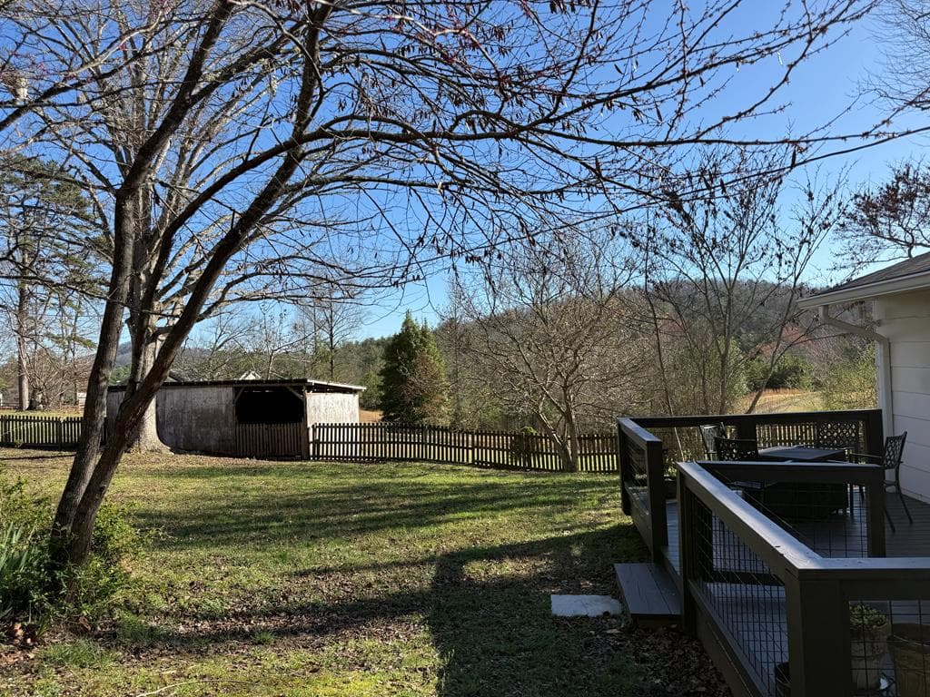 331 Blue Arrow Lane, Mineral Bluff GA 30599 - Photo