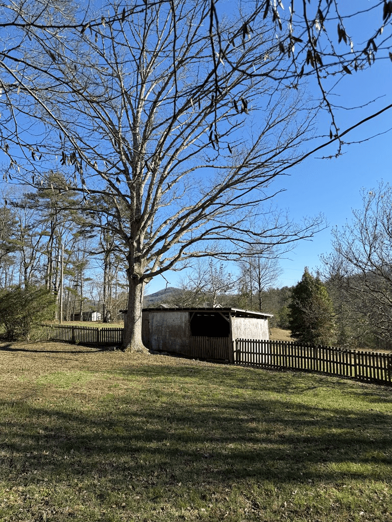 331 Blue Arrow Lane, Mineral Bluff GA 30599 - Photo
