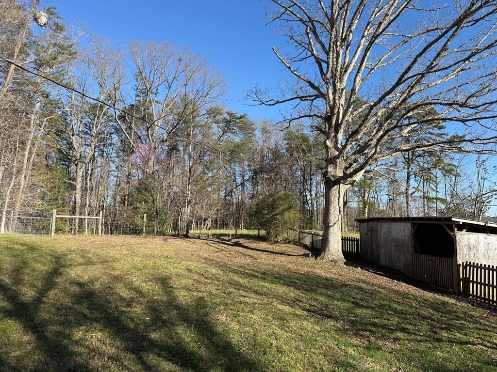 331 Blue Arrow Lane, Mineral Bluff GA 30599 - Photo