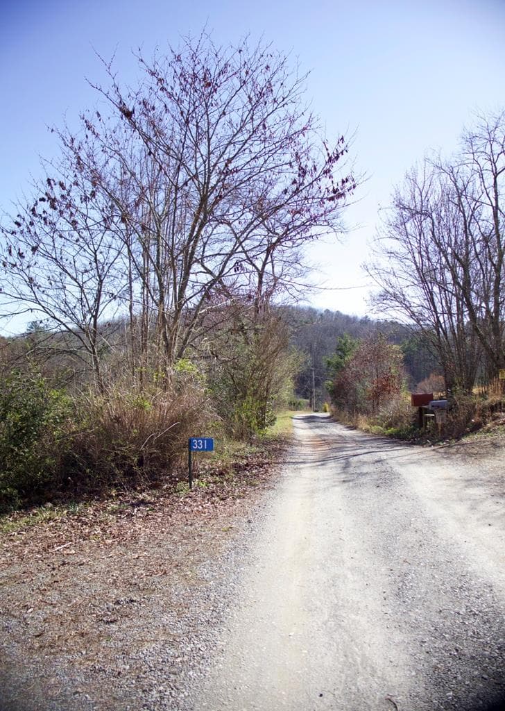 331 Blue Arrow Lane, Mineral Bluff GA 30599 - Photo