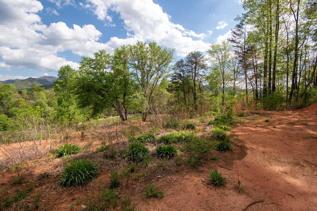 00 W Vineyard Road, Hayesville NC 28904 - Photo