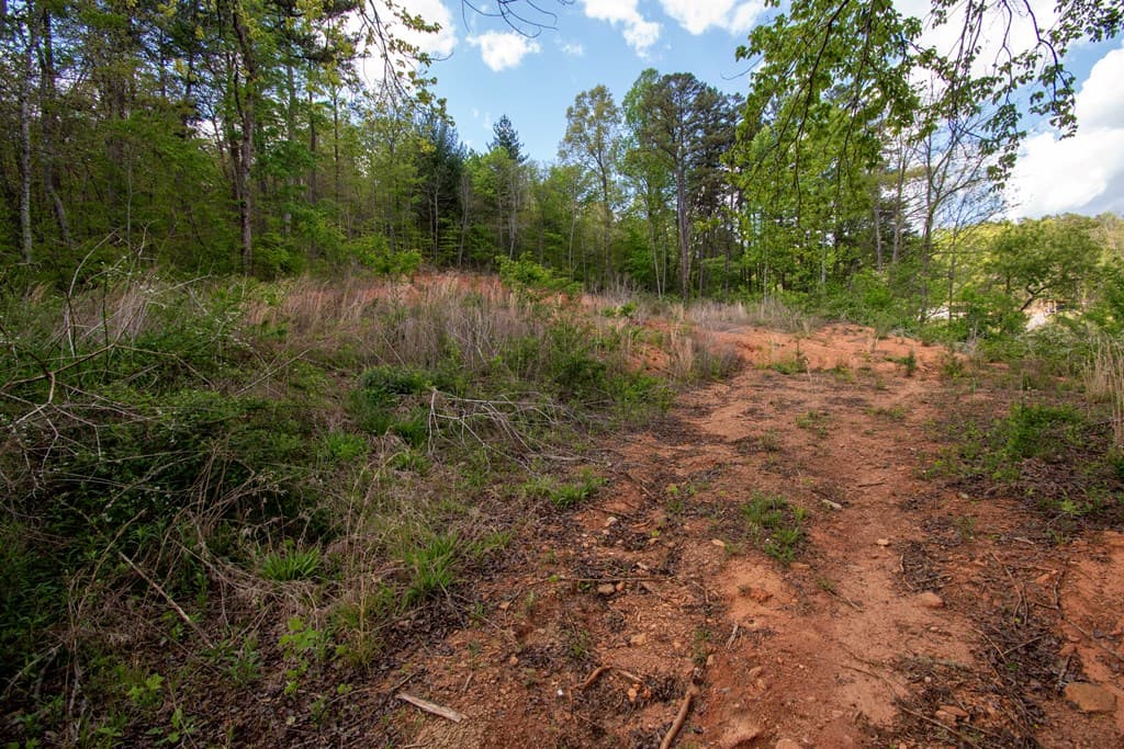 00 W Vineyard Road, Hayesville NC 28904 - Photo