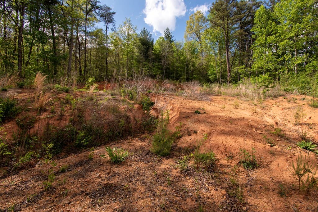 00 W Vineyard Road, Hayesville NC 28904 - Photo