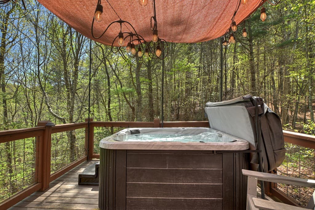 305 Kimbolton Drive, Morganton GA 30560 - Photo