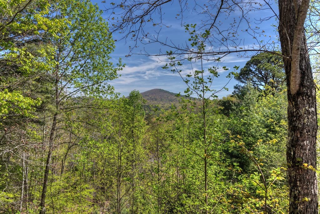305 Kimbolton Drive, Morganton GA 30560 - Photo