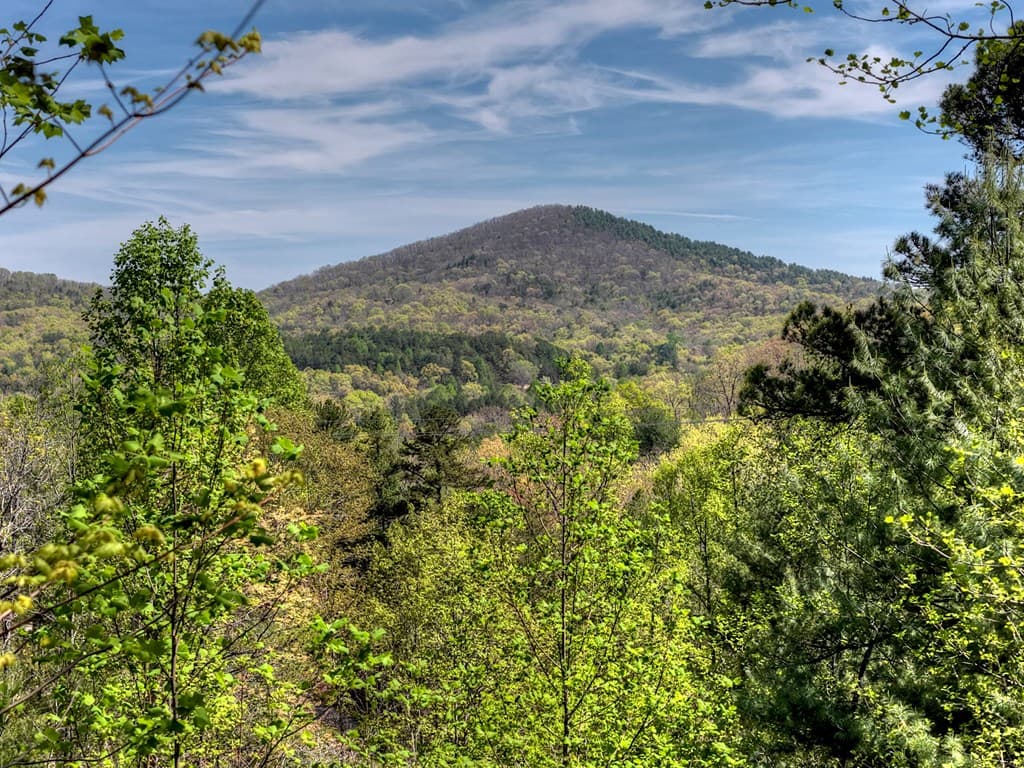 305 Kimbolton Drive, Morganton GA 30560 - Photo